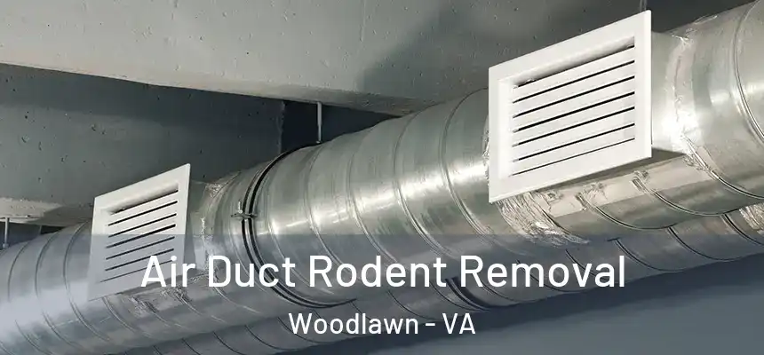  Air Duct Rodent Removal Woodlawn - VA