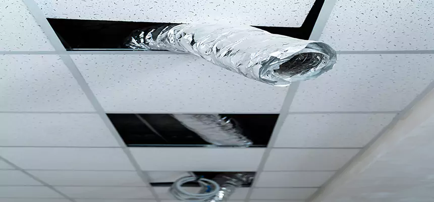 Affordable HVAC Sanitizing After Pest Removal in Woodlawn