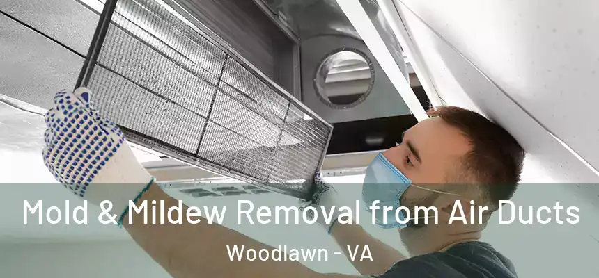  Mold & Mildew Removal from Air Ducts Woodlawn - VA