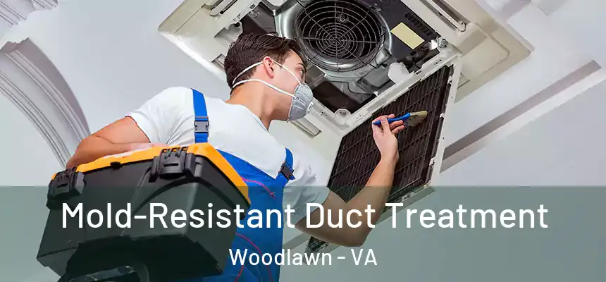 Mold-Resistant Duct Treatment Woodlawn - VA
