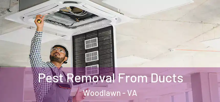 Pest Removal From Ducts Woodlawn - VA