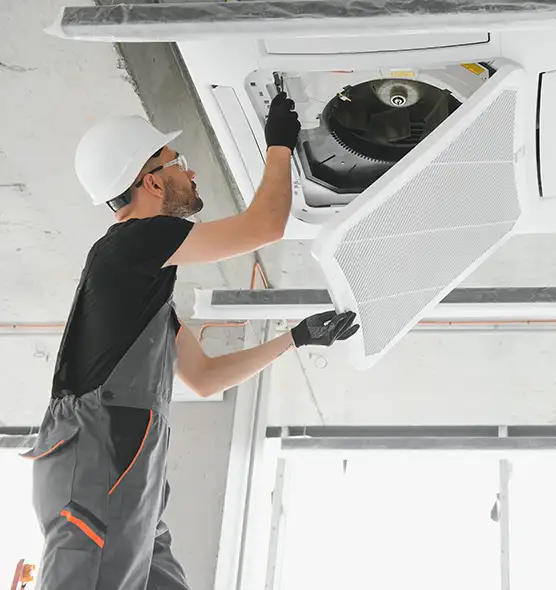 About Air Duct Rodent Removal in Woodlawn, VA