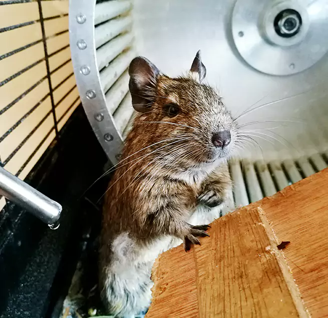 Why Homeowners & Businesses Trust Us Woodlawn, VA