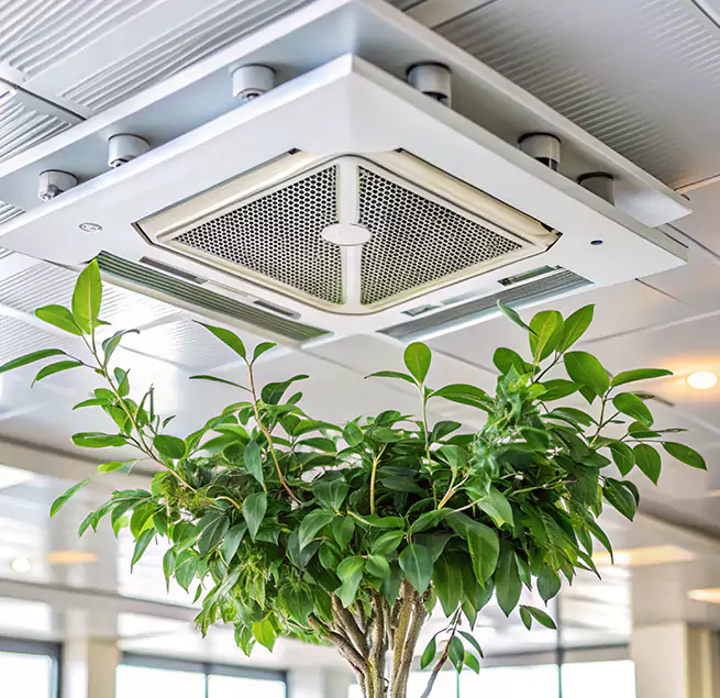 Why Homeowners & Businesses Trust Us in Woodlawn, VA